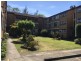 1/115 Alt Street, Ashfield NSW 2131