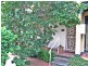 15 Wellington Street, Croydon NSW 2132