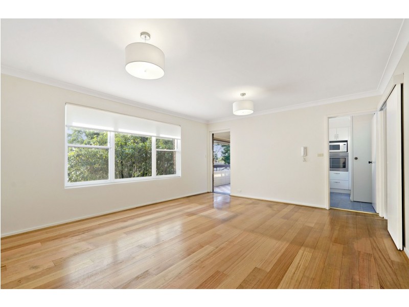 7/49 Charlotte Street, Ashfield NSW 2131