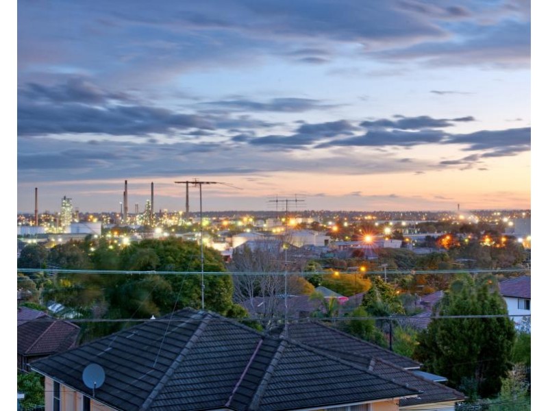 20 Patricia Street, Rydalmere NSW 2116