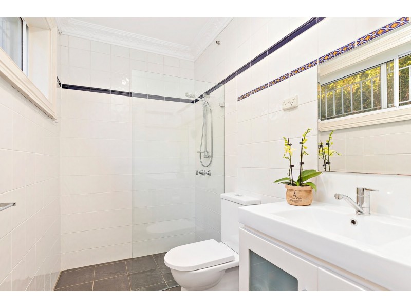 16 Allibone Street, Ashbury NSW 2193