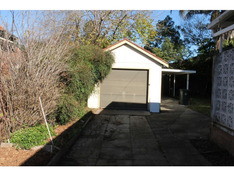 3 Alfred Street, Clemton Park NSW 2206