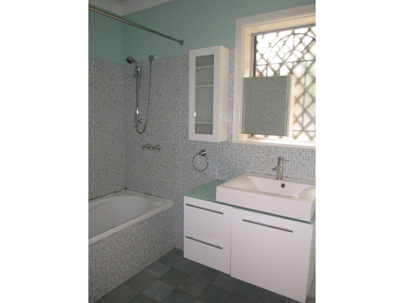 161 Edwin Street North, Croydon NSW 2132