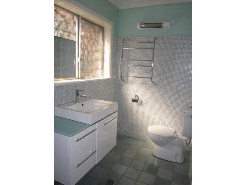 161 Edwin Street North, Croydon NSW 2132