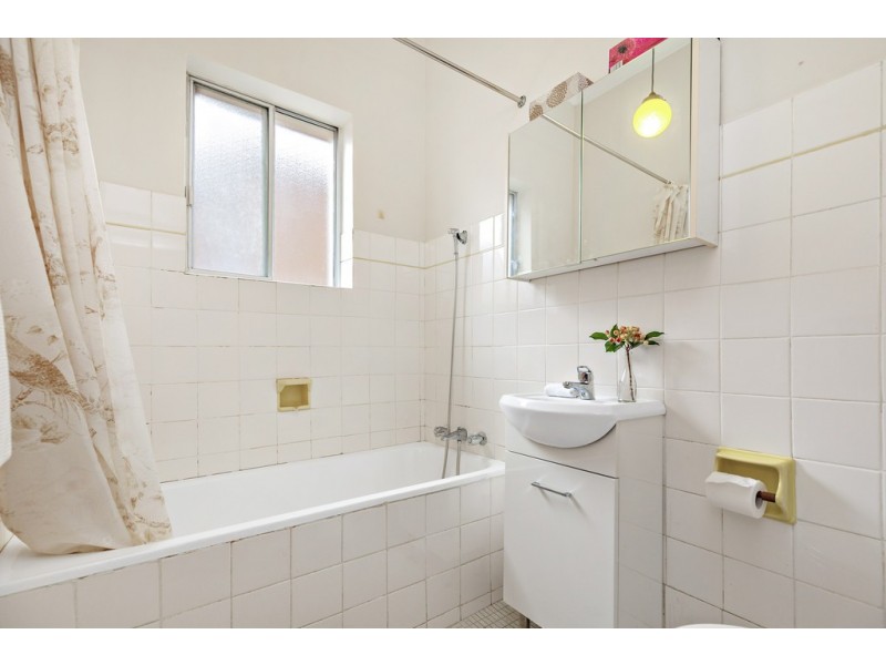 113 Hardy Street, Ashbury NSW 2193