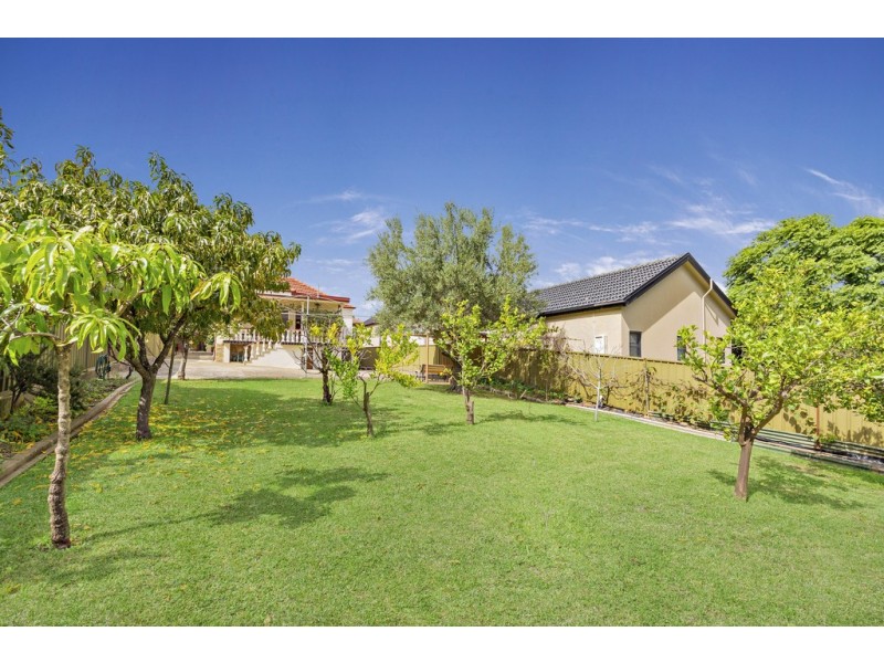 113 Hardy Street, Ashbury NSW 2193