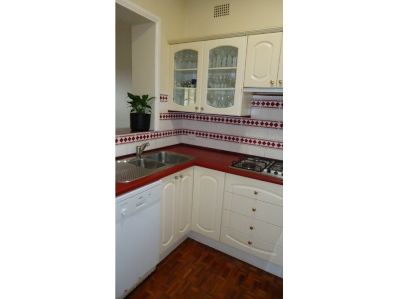 162 Edwin Street North, Croydon NSW 2132