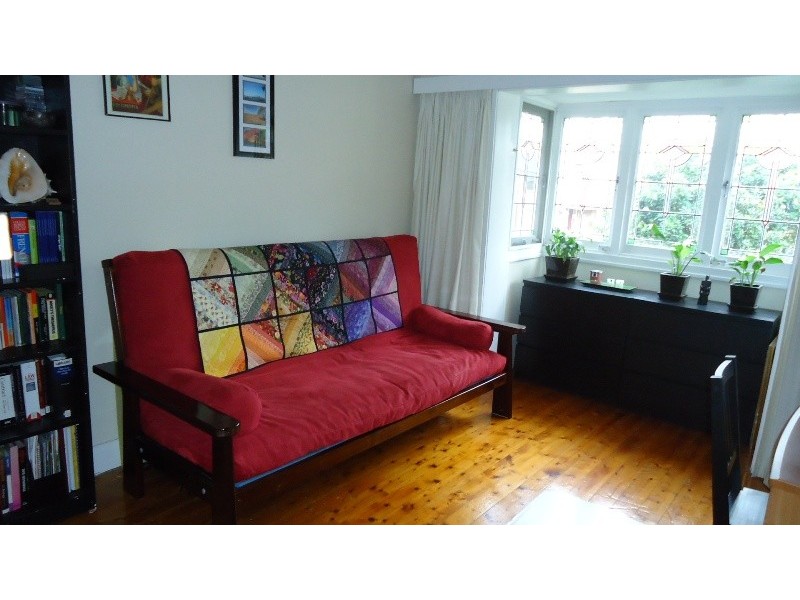 162 Edwin Street North, Croydon NSW 2132