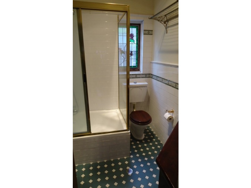 162 Edwin Street North, Croydon NSW 2132