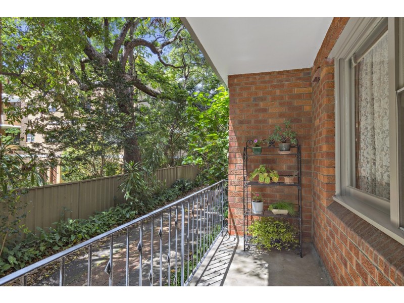 2/49 Alt Street, Ashfield NSW 2131