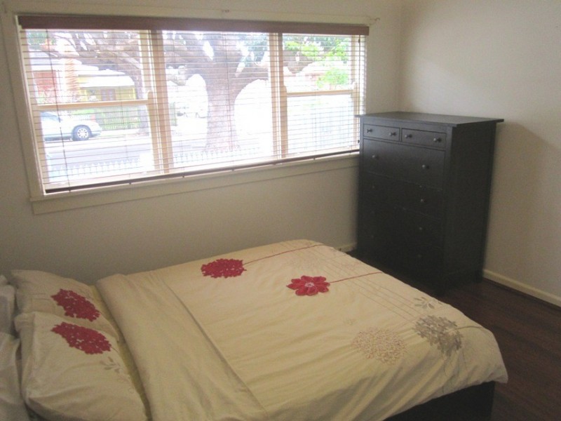 38 Park Avenue, Ashfield NSW 2131