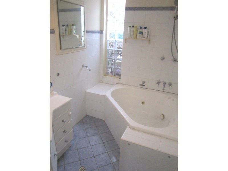 38 Park Avenue, Ashfield NSW 2131