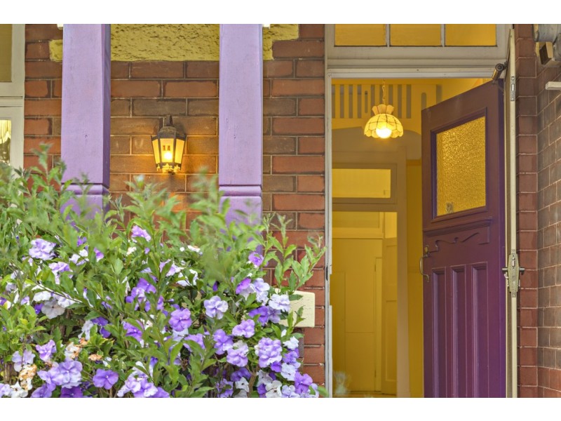 14 Eccles Avenue, Ashfield NSW 2131