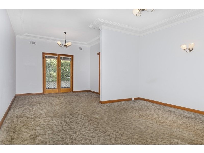 6 Hardy Street, Ashfield NSW 2131