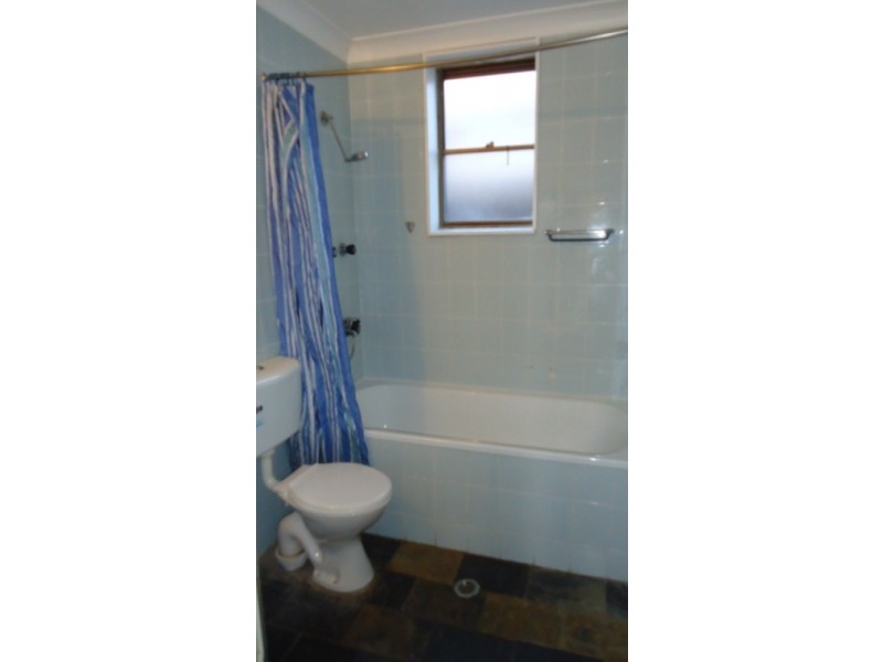 10 Farleigh Street, Ashfield NSW 2131