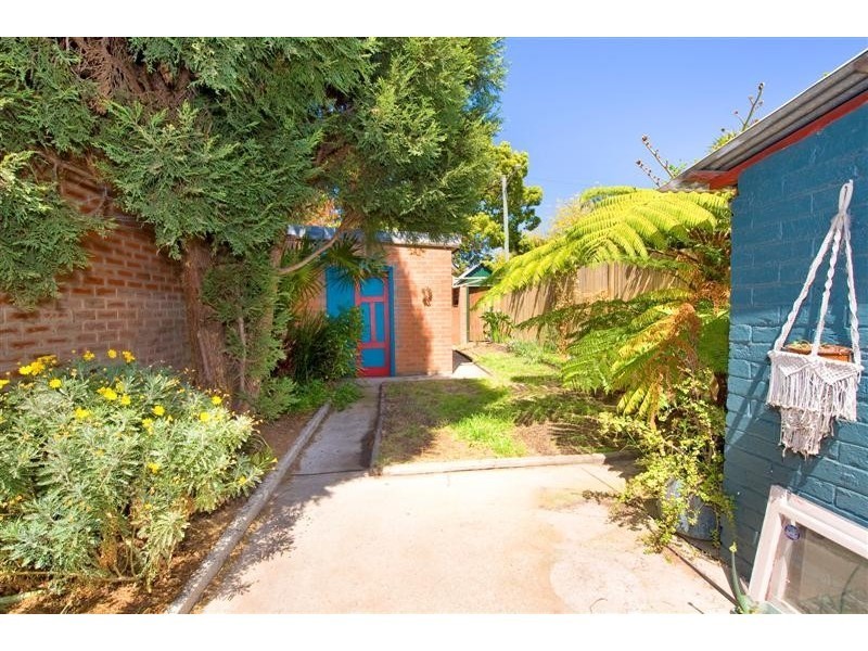 52 Park Avenue, Ashfield NSW 2131