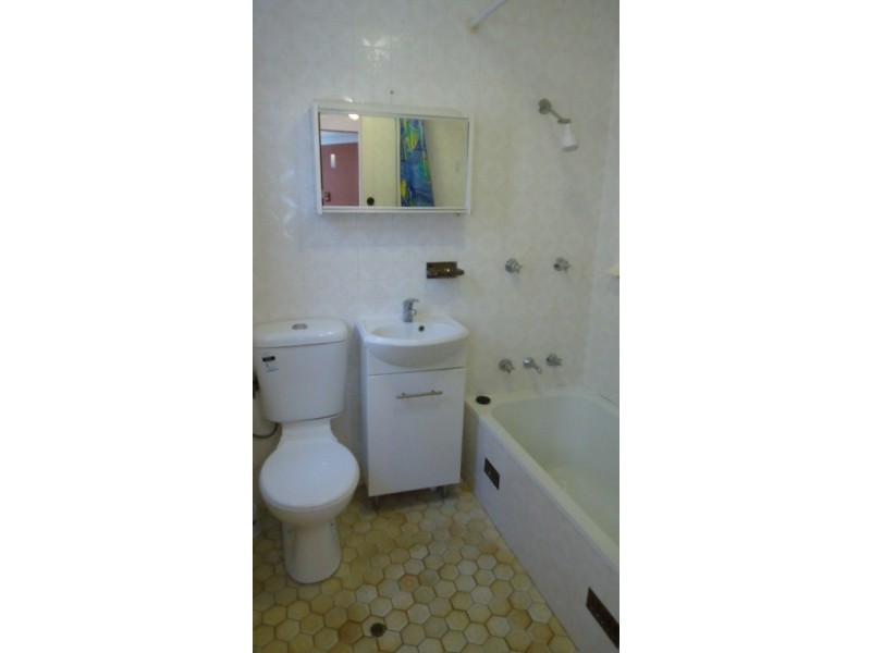 52 Park Avenue, Ashfield NSW 2131