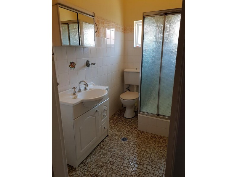 21 Allibone Street, Ashfield NSW 2131