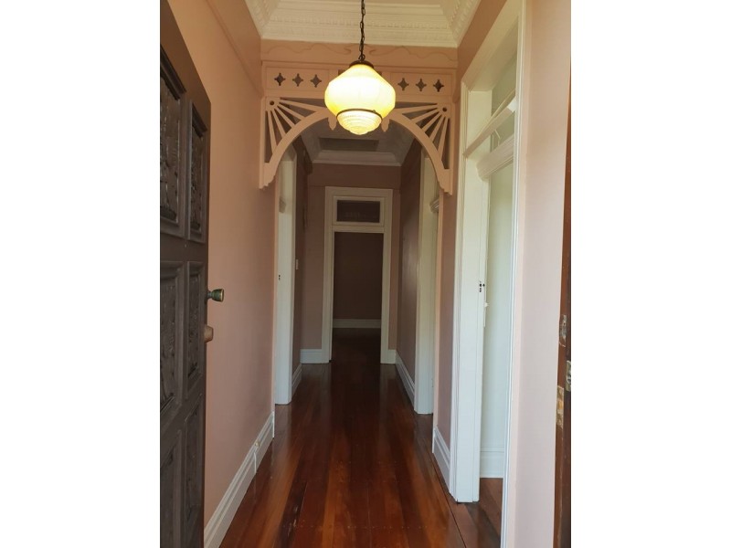 21 Allibone Street, Ashfield NSW 2131