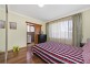 3/77-79 Chandos Street, Ashfield NSW 2131