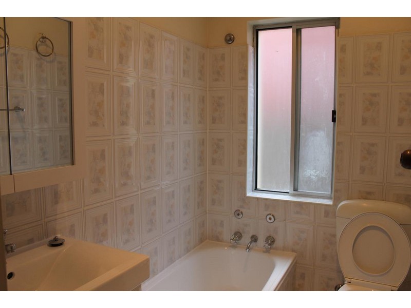 17 Smallwood Avenue, Homebush NSW 2140