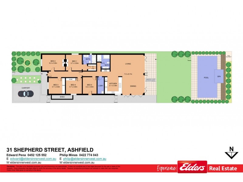 31 Shepherd Street, Ashfield NSW 2131