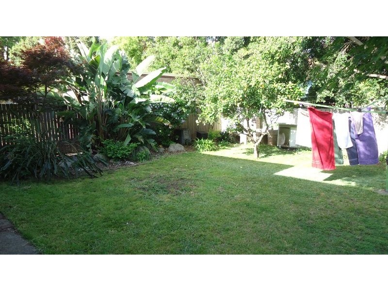 38 Service Avenue, Ashfield NSW 2131