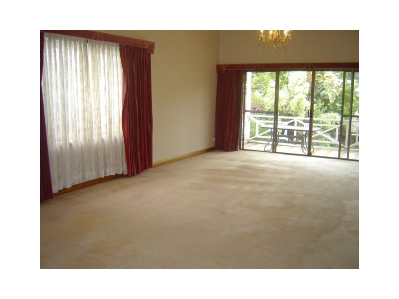 38 Service Avenue, Ashfield NSW 2131