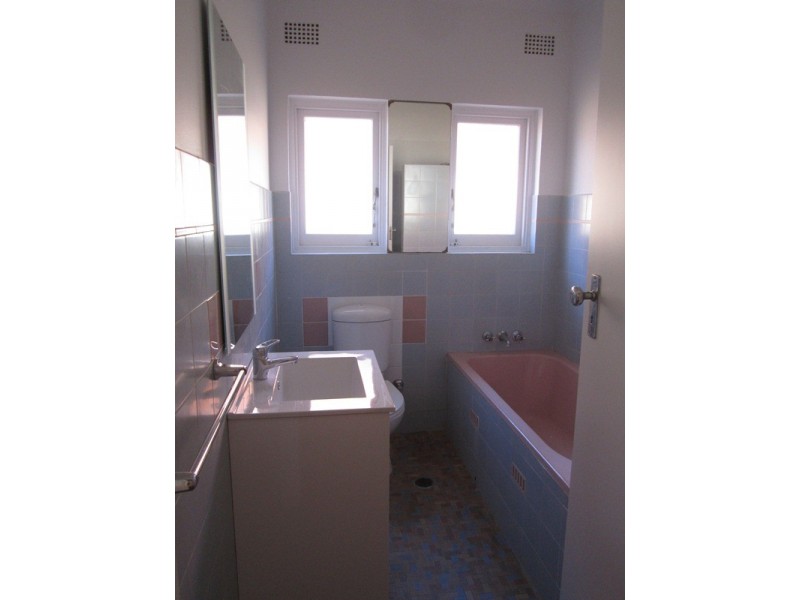 20 Goodlet Street, Ashbury NSW 2193