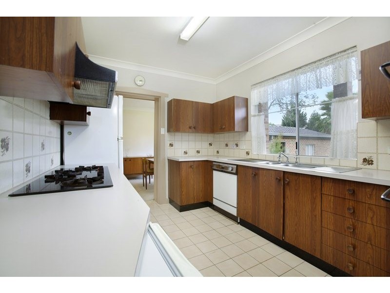 48  Austin Avenue, Croydon NSW 2132