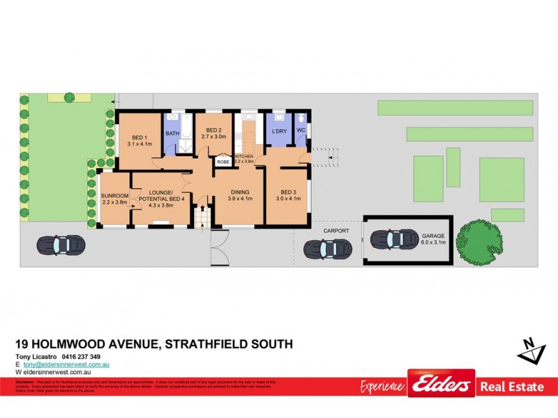 19 Holmwood Avenue, Strathfield South NSW 2136 Floorplan