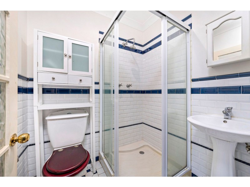 31 Carrington Street, North Strathfield NSW 2137
