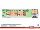 31 Carrington Street, North Strathfield NSW 2137 Floorplan