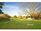 11 Farleigh Street, Ashfield NSW 2131