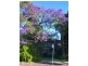 4/132 Frederick Street, Ashfield NSW 2131