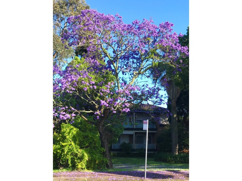 4/132 Frederick Street, Ashfield NSW 2131