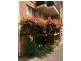 4/132 Frederick Street, Ashfield NSW 2131