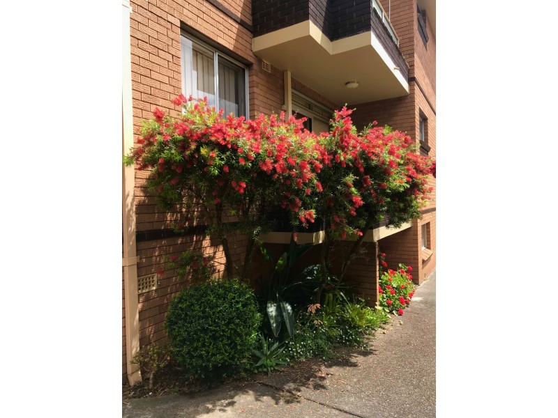 4/132 Frederick Street, Ashfield NSW 2131