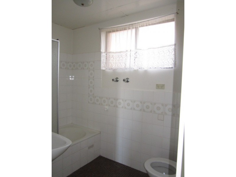 1/23 Jeffrey Street, Canterbury NSW 2193