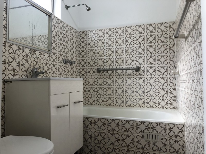 3 Jones Street, Croydon NSW 2132