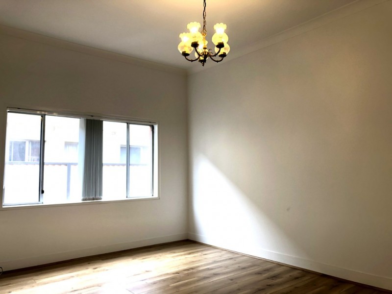 3 Jones Street, Croydon NSW 2132