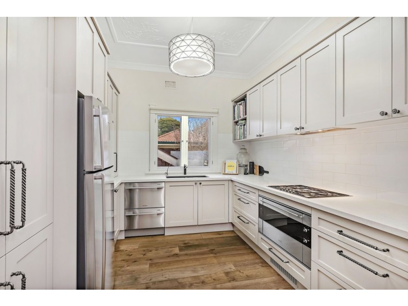 56 Roslyn Street, Ashbury NSW 2193