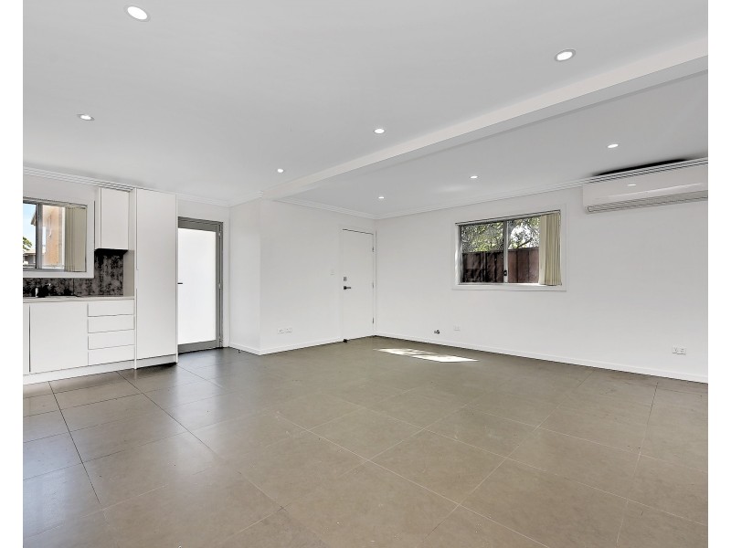 20a Carisbrook Ave, Punchbowl NSW 2196