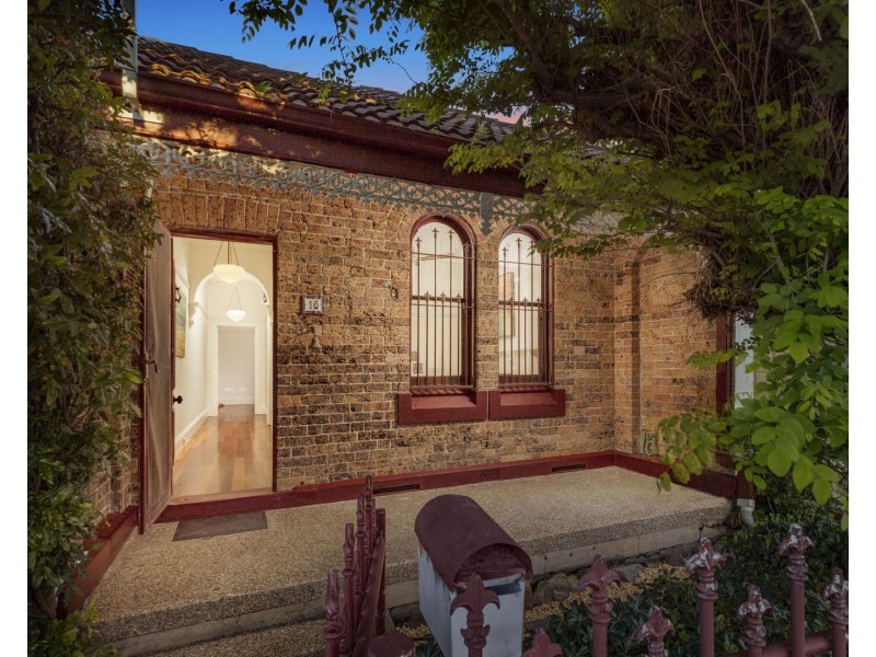 16 Lion Street, Croydon NSW 2132