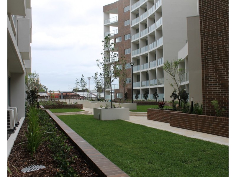 B103/2A Brown Street, Ashfield NSW 2131