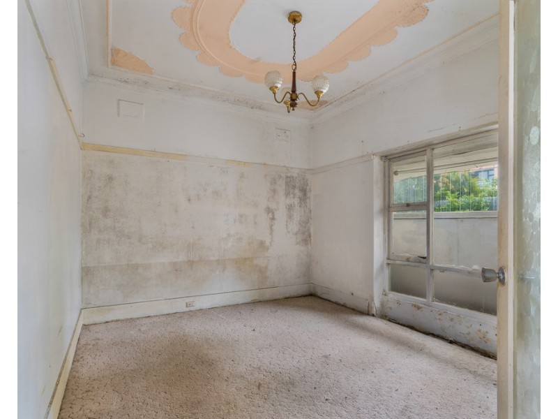 16A Carrington Street, Lilyfield NSW 2040