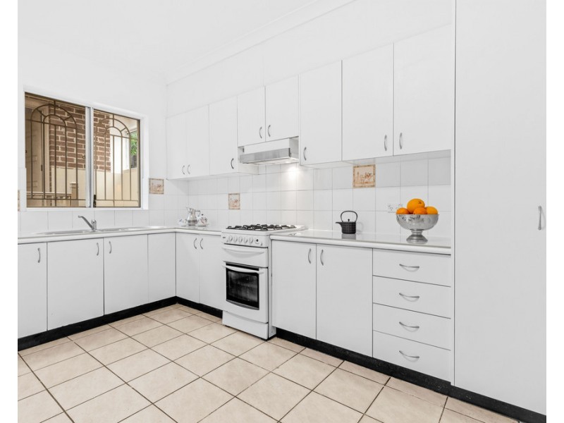 17 Old Canterbury Road, Lewisham NSW 2049