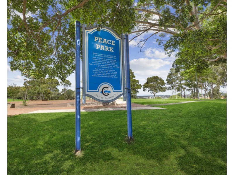 25 Trevenar Street, Ashbury NSW 2193