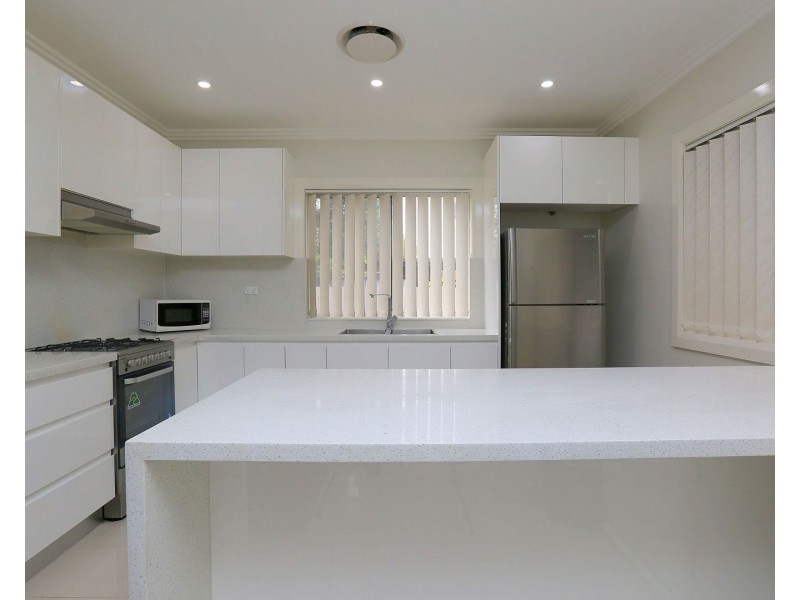 988a Punchbowl Road, Punchbowl NSW 2196