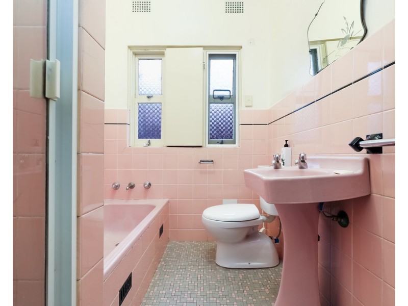 19 Mason Street, North Parramatta NSW 2151